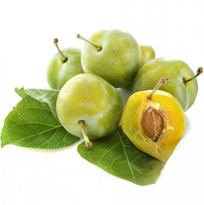 Prun RENCLOD VERDE