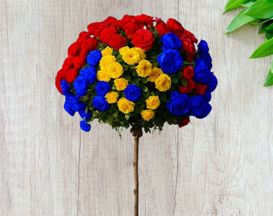 Trandafir in 3 culori - Romania ghiveci, inaltime intre 1.40m si 1.60m